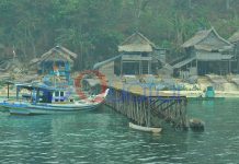 Mengintip Kehidupan di Pulau Setengah Tahun