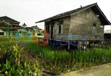 Rumdin Guru SD Negeri 23 Kedamin Hilir, Mengenaskan