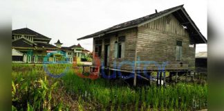 Rumdin Guru SD Negeri 23 Kedamin Hilir, Mengenaskan