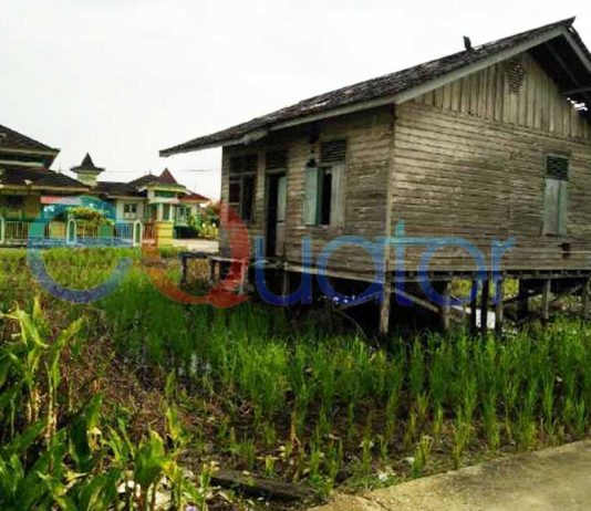 Rumdin Guru SD Negeri 23 Kedamin Hilir, Mengenaskan