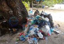 Sampah Hiasi Pantai Pulau Datok