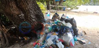 Sampah Hiasi Pantai Pulau Datok