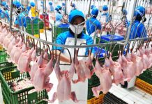 Pemprov Kalbar Akan Bangun Rumah Potong Unggas di Ambawang