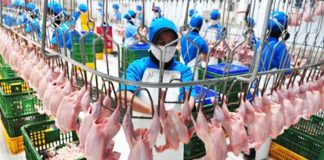 Pemprov Kalbar Akan Bangun Rumah Potong Unggas di Ambawang