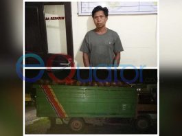 Diciduk, Usai Panen Sawit PT Darmex Agro