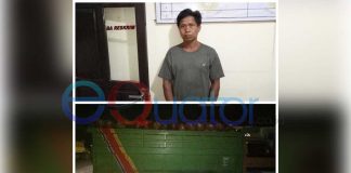 Diciduk, Usai Panen Sawit PT Darmex Agro