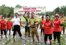 Pengin Kalbar Swasembada Pangan