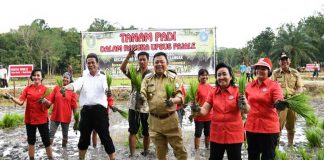 Pengin Kalbar Swasembada Pangan