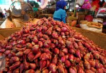 Harga Bawang Merah Terus Naik