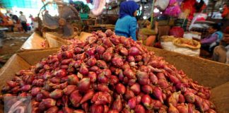 Setelah Cabai, Bawang Ikut-ikutan Mahal