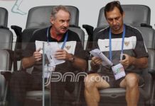 Street Dogs Bisa Jadi Batu Sandungan