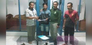 Butuh Duit Beli Rokok, Kucing Hutan Tangkapan Dijual