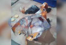 Bandar di Mataram Pesan 300 Gram Sabu