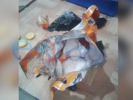 Bandar di Mataram Pesan 300 Gram Sabu