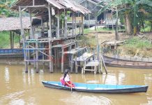 Anak Desa Pulau Jambu Bersampan ke Sekolah