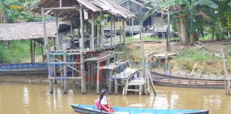 Anak Desa Pulau Jambu Bersampan ke Sekolah