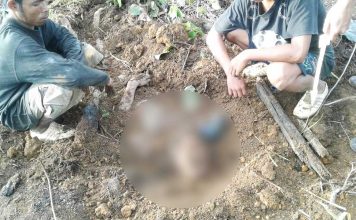 Karyawan Kebun Sawit Dihabisi Rekan Kerjanya