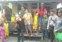 Sudah Evakuasi 19 Ekor Orangutan