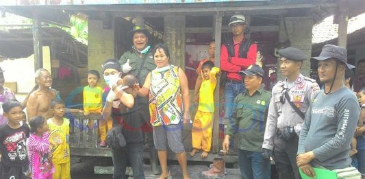 Sudah Evakuasi 19 Ekor Orangutan