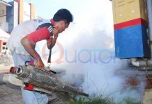 Sekadau Diserang Wabah DBD