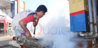 Sekadau Diserang Wabah DBD