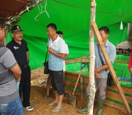 WNA RRT Main PETI di Sambas, Diduga Aparat Desa Bermain