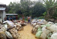 Harga Karet di Nanga Pinoh Rp8 Ribu per Kilogram