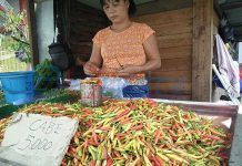 Harga Cabai di Kapuas Hulu Normal