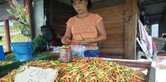 Harga Cabai di Kapuas Hulu Normal