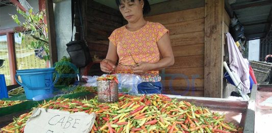 Harga Cabai di Kapuas Hulu Normal