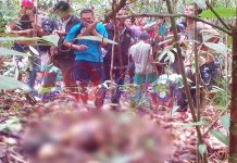 Leher Putus Membusuk di Hutan