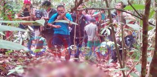 Leher Putus Membusuk di Hutan