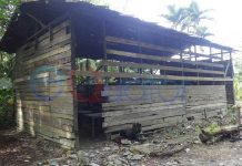 MIS Hidayahtul Diniyah yang Mirip Kandang Ternak