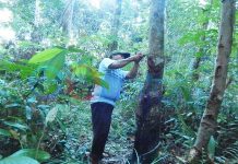 Bentuk Asosiasi Petani Karet Untuk Menjaga Mutu, Harga Pantas Rp12 Ribu per Kilogram