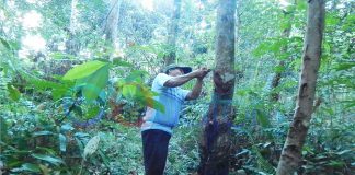 Bentuk Asosiasi Petani Karet Untuk Menjaga Mutu, Harga Pantas Rp12 Ribu per Kilogram