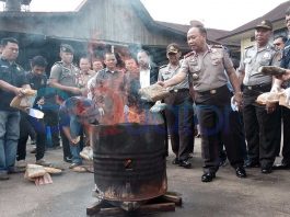 Selama 2016 Hanya Ringkus Kurir dan Pemakai Narkoba