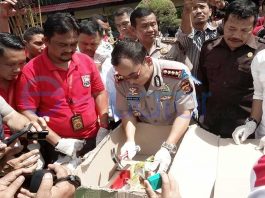 Sabu Bata Asal Malaysia Produksi Pabrik Besar