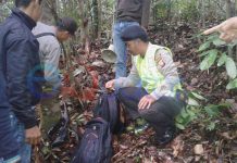 Berburu Kijang di Hutan Tembak Teman Sendiri
