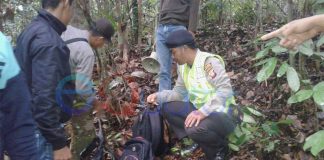 Berburu Kijang di Hutan Tembak Teman Sendiri