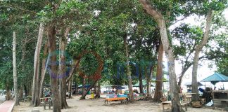 Pemerintah Tata Ulang Pedagang Pantai Pulau Datok