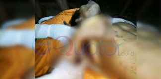 Dikira Babi, Rupanya Tembak Teman Sendiri