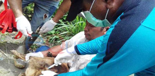 100 Warga Ujung Negeri Digigit Anjing