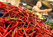 Harga Cabai Meroket, Disperindagkop Peringati Spekulan