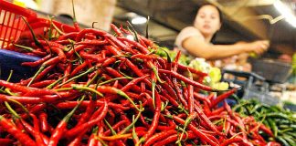 Harga Cabai Meroket, Disperindagkop Peringati Spekulan