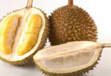 Kontes Durian, Potensi Wisata dan Mendulang Rupiah