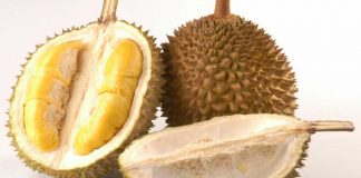 Bumil Dilarang Makan Durian, Mitos atau Fakta?