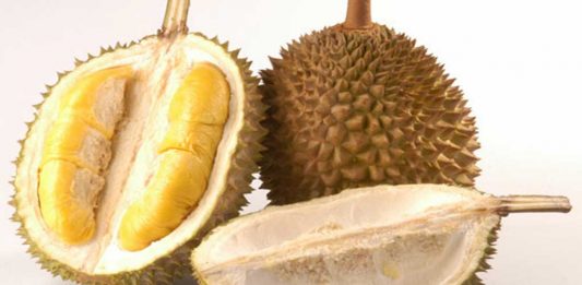 Bumil Dilarang Makan Durian, Mitos atau Fakta?