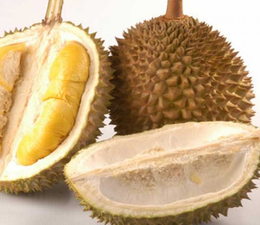 Bumil Dilarang Makan Durian, Mitos atau Fakta?