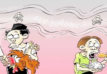 Awas!!! Flu Burung “Kiriman” Kalsel