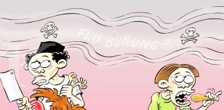 Awas!!! Flu Burung “Kiriman” Kalsel